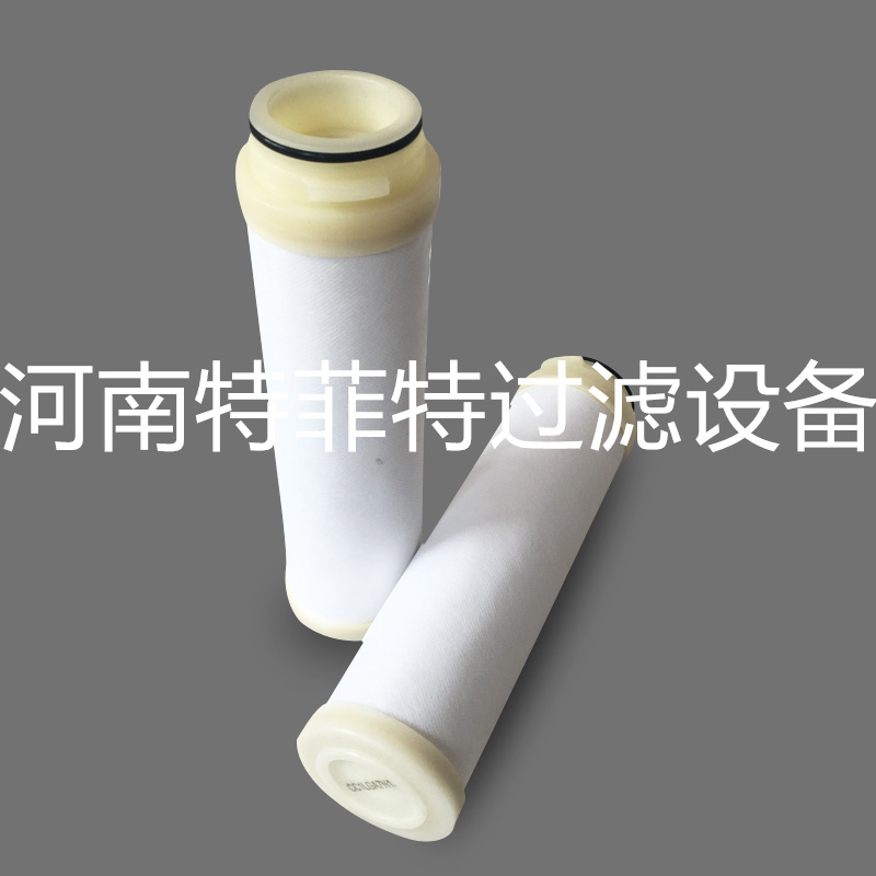 PES除菌滤芯FA71RPFWH4 419A020W071SP PES除菌滤芯FA71RPFWH4 419A020W071SP